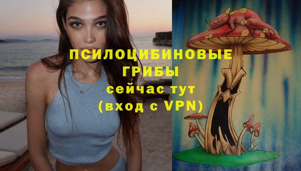 прущая мука Абинск