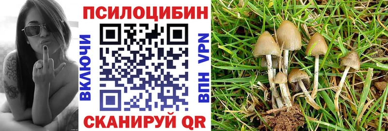 Псилоцибиновые грибы Psilocybe  где найти наркотики  Княгинино 